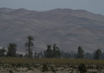 dunes inland from paracas-0002.jpg