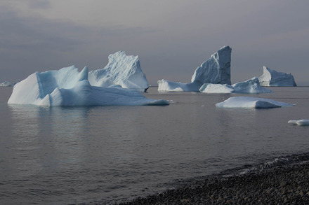 icebergs disko island 1 of 1.jpg